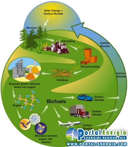 ciclo energia biomassa Vantagens e Desvantagens da Energia Biomassa