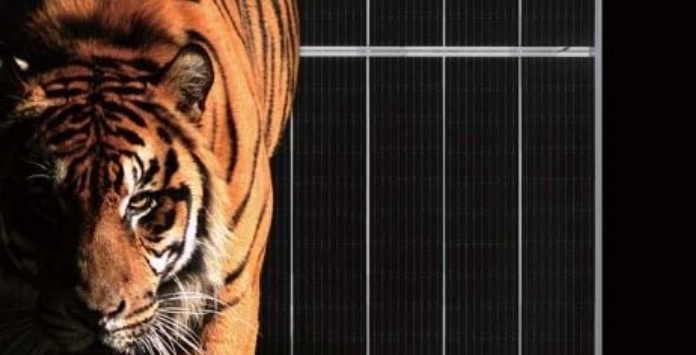 Painel Solar Tiger PRO da Jinkosolar